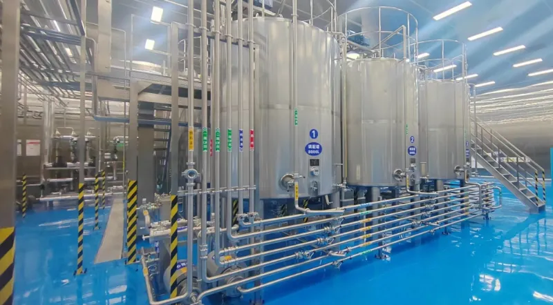 Plant-Based Beverage Production Line